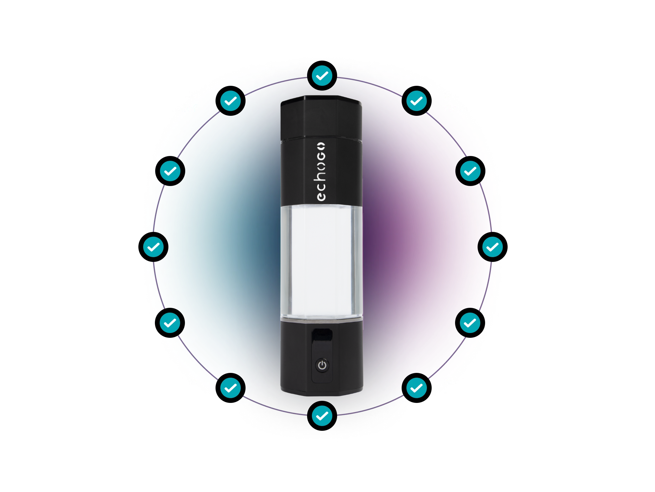 Echo Go+ Therapy.