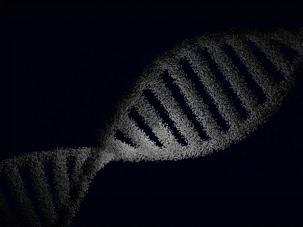 Living With a Mitochondrial Defect: Molecular Hydrogen and Adaptation