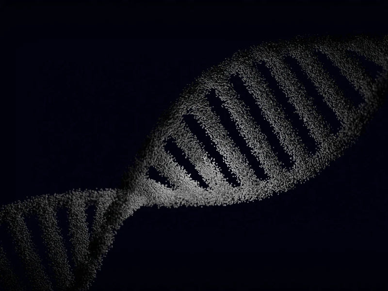 Living With a Mitochondrial Defect: Molecular Hydrogen and Adaptation