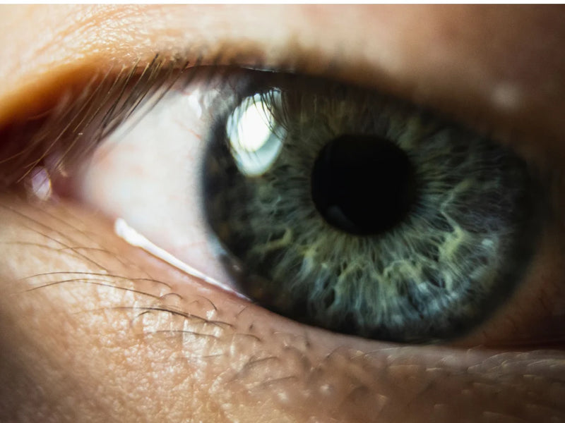 The Biology of Seeing: Molecular Hydrogen and Eye Health