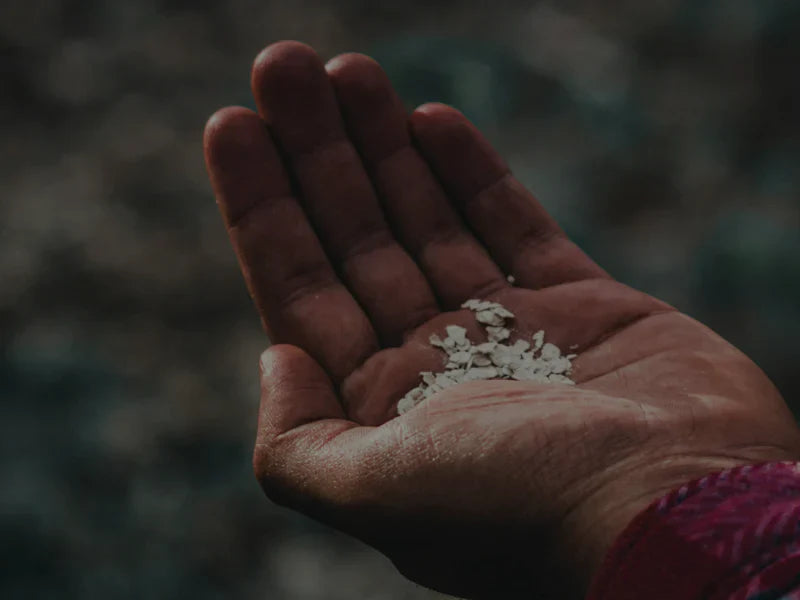 Have We Overlooked a Solution? Molecular Hydrogen and the Microplastic Health Crisis