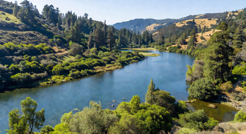 California Water Quality Report (2026)
