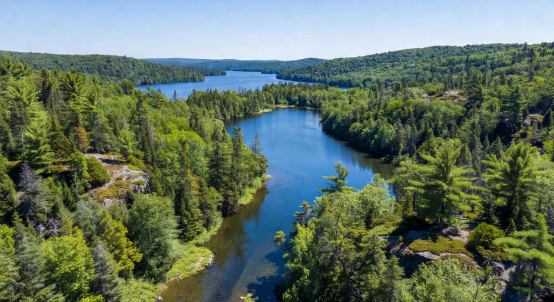 Maine Water Quality Report (2026)