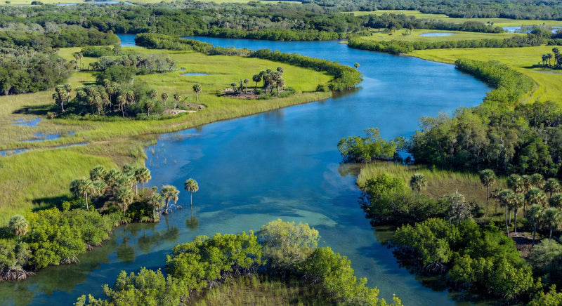 Florida Water Quality Report (2026)