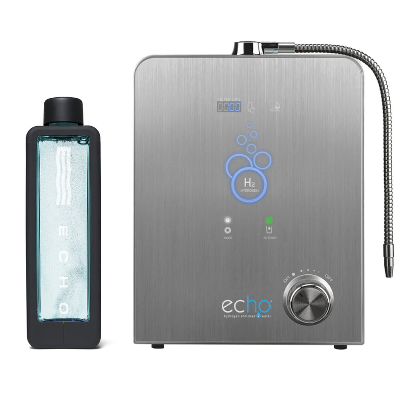 Echo H2 + Echo Flask