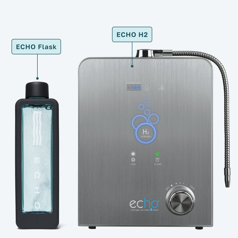 Echo H2 + Echo Flask